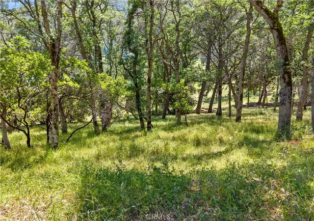 Photo 1 of Land for sale at 8259 Little Borax Lake Rd, Kelseyville, CA 95451 | MLS# LC26200637 | Listing updated on 2026-09-16