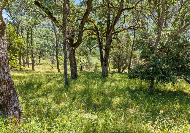 Photo 3 of Land for sale at 8259 Little Borax Lake Rd, Kelseyville, CA 95451 | MLS# LC26200637 | Listing updated on 2026-09-16