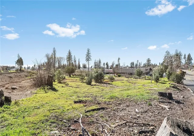 Land for sale at 1030 Bille Rd, Paradise, CA 95969 | MLS# SN26201770