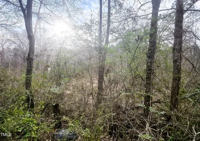 Photo 1 of Land for sale at 0 Short St, Littleton, NC 27850 | MLS# 10074717 | Listing updated on 2026-09-08