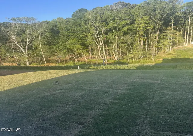 Photo 3 of Single family home for sale at 350 Park Slope Way, Youngsville, NC 27596 | MLS# 10181437 | Listing updated on 2026-09-22