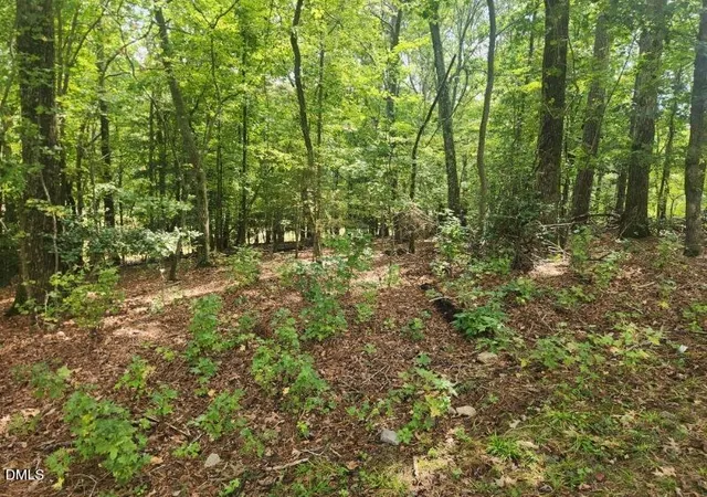 Photo 2 of Land for sale at 249 Sacred Fire Rd, Louisburg, NC 27549 | MLS# 10184069 | Listing updated on 2026-09-22