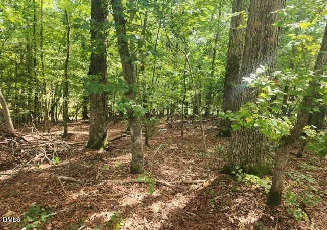 Photo 3 of Land for sale at 249 Sacred Fire Rd, Louisburg, NC 27549 | MLS# 10184069 | Listing updated on 2026-09-22