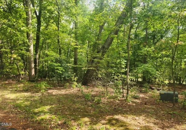 Photo 3 of Land for sale at 249 Sacred Fire Rd, Louisburg, NC 27549 | MLS# 10184069 | Listing updated on 2026-09-22