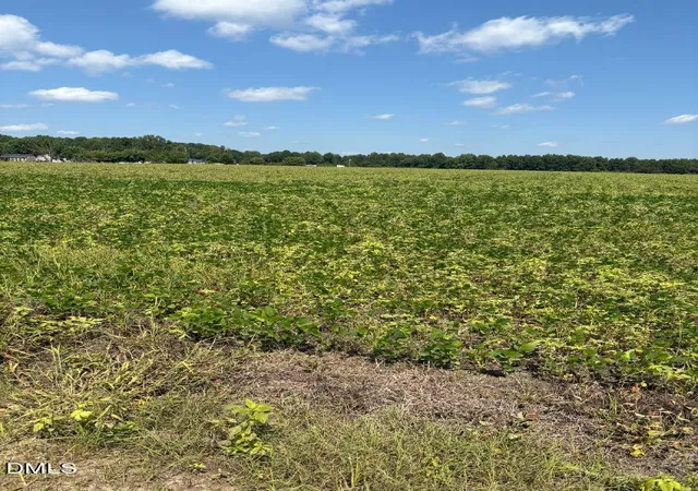 Photo 2 of Land for sale at 0 Bethel Baptist Rd, Spring Lake, NC 28390 | MLS# 10187925 | Listing updated on 2026-09-21