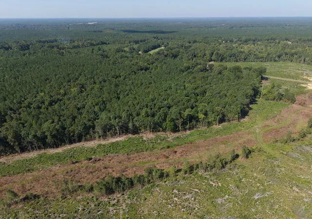 Photo 2 of Sale Pending at 1941 Walter Bright Road Road, Sanford, NC 27330 | MLS# 10188674 | Listing updated on 2026-09-21