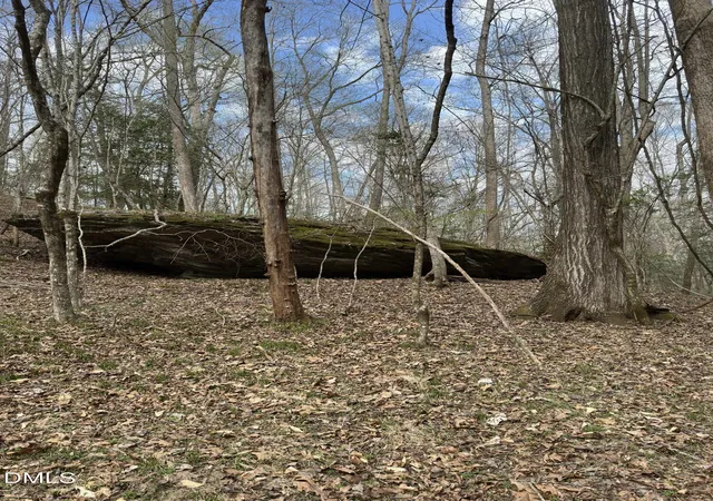 Photo 2 of Land for sale at 00 Seven Is (tr 2) Rd, Danbury, NC 27016 | MLS# 10190899 | Listing updated on 2026-09-09