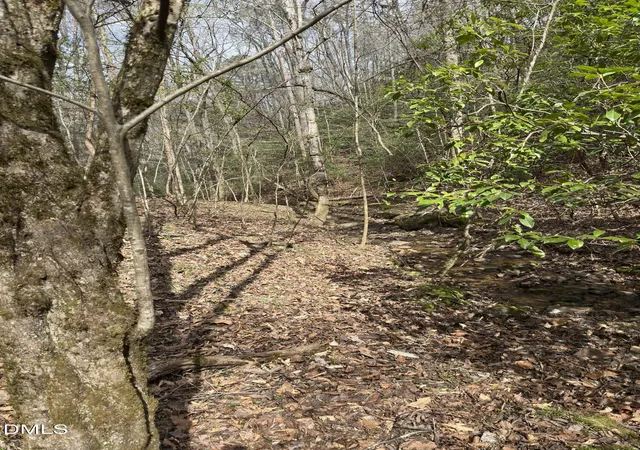 Photo 3 of Land for sale at 00 Seven Is (tr 2) Rd, Danbury, NC 27016 | MLS# 10190899 | Listing updated on 2026-09-09