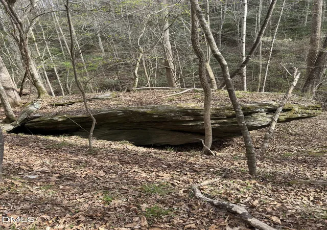 Photo 3 of Land for sale at 00 Seven Is (tr 2) Rd, Danbury, NC 27016 | MLS# 10190899 | Listing updated on 2026-09-09