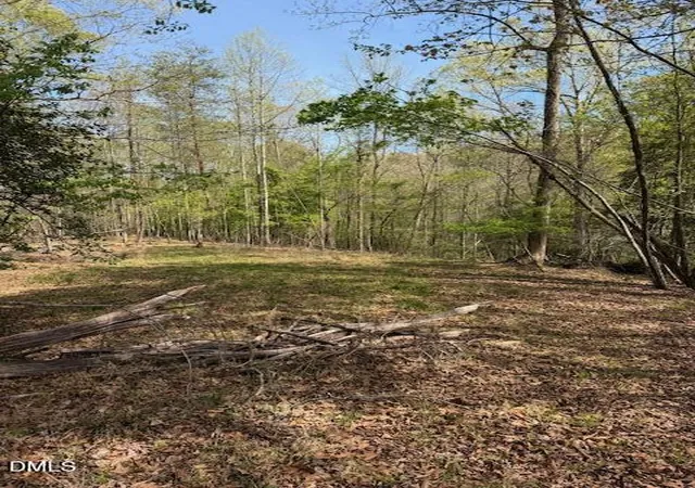 Photo 4 of Land for sale at 00 Seven Is (tr 2) Rd, Danbury, NC 27016 | MLS# 10190899 | Listing updated on 2026-09-09