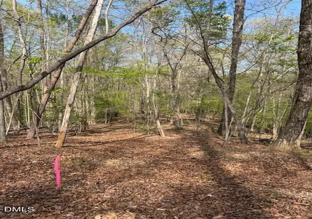 Photo 4 of Land for sale at 00 Seven Is (tr 3) Rd, Danbury, NC 27016 | MLS# 10190883 | Listing updated on 2026-09-09