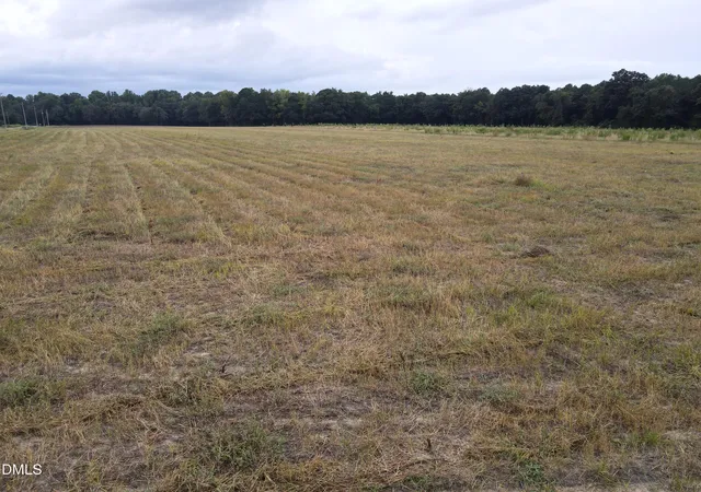Photo 3 of Land for sale at 4 Eatmon Rd, Sims, NC 27880 | MLS# 10190010 | Listing updated on 2026-09-01