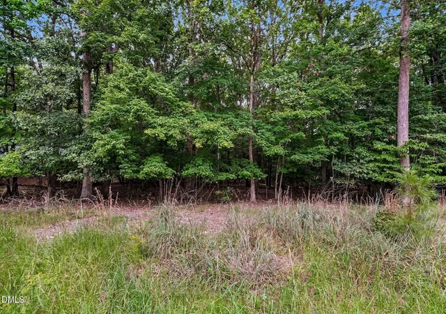 Photo 3 of Land for sale at 911 Torredge Rd, Durham, NC 27712 | MLS# 10190133 | Listing updated on 2026-09-02