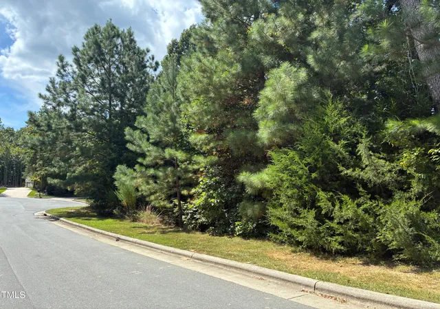 Photo 4 of Land for sale at 44 Sweet Meadow Ln, Pittsboro, NC 27312 | MLS# 10189969 | Listing updated on 2026-09-01