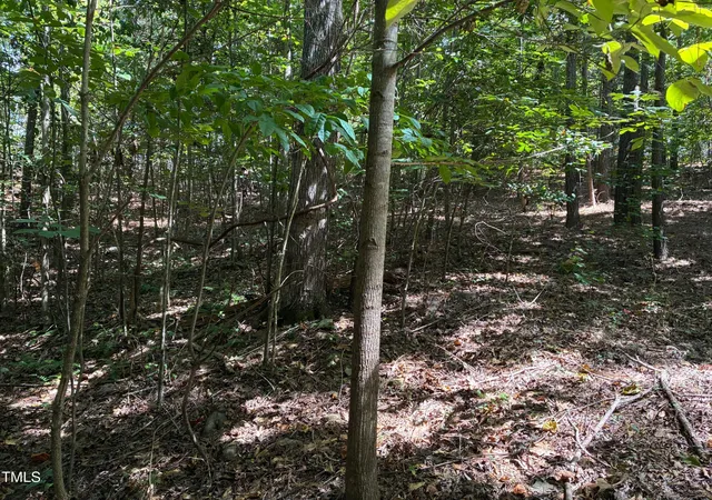 Photo 3 of Land for sale at 48 Sweet Meadow Ln, Pittsboro, NC 27312 | MLS# 10189974 | Listing updated on 2026-09-01