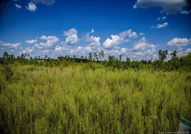 Land for sale at Tract 15 Mitchell Rd, Fairmont, NC 28340 | MLS# 768682
