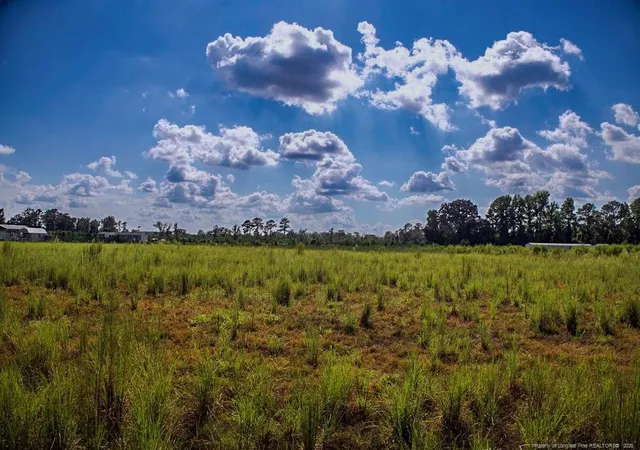 Land for sale at Lot 6 Mitchell Rd, Fairmont, NC 28340 | MLS# 768685