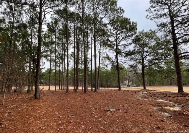 Photo 3 of Sale Pending at 182 Banbridge Dr, West End, NC 27376 | MLS# 768708 | Listing updated on 2026-09-03