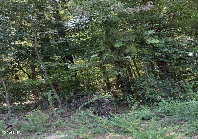Land for sale at 0 Williams Farm Rd, Sanford, NC 27332 | MLS# 10191054