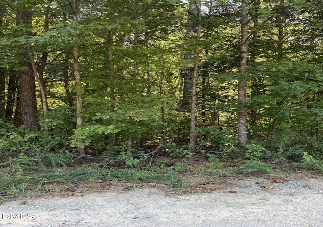 Photo 2 of Land for sale at 0 Williams Farm Rd, Sanford, NC 27332 | MLS# 10191054 | Listing updated on 2026-09-05