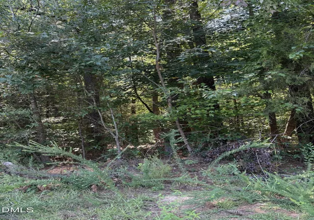 Photo 3 of Land for sale at 0 Williams Farm Rd, Sanford, NC 27332 | MLS# 10191054 | Listing updated on 2026-09-05