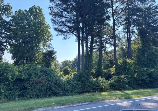 Photo 2 of Land for sale at Mcarthur Rd, Fayetteville, NC 28311 | MLS# 768771 | Listing updated on 2026-09-04