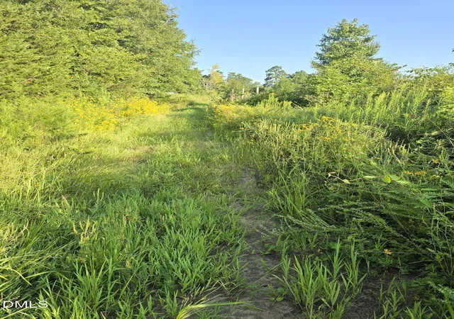 Photo 3 of Land for sale at 4955 Dailey Store Rd, Burlington, NC 27217 | MLS# 10190641 | Listing updated on 2026-09-14
