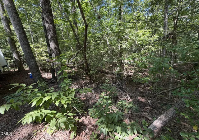 Photo 4 of Land for sale at 126 Poma Dr, Spring Hope, NC 27882 | MLS# 10190561 | Listing updated on 2026-09-08