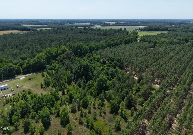 Photo 4 of Land for sale at 401 Johnson Pond Rd, Red Springs, NC 28377 | MLS# 10190779 | Listing updated on 2026-09-22