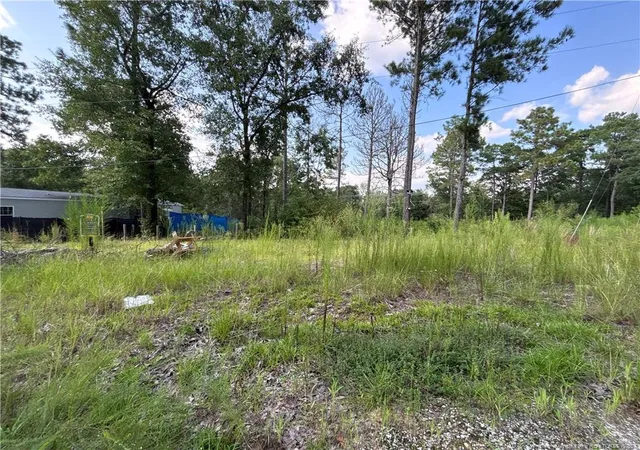 Land for sale at 813 Wiregrass Rd, Hamlet, NC 28345 | MLS# 768853