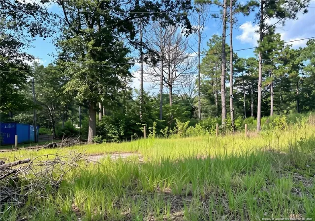Photo 1 of Land for sale at 813 Wiregrass Rd, Hamlet, NC 28345 | MLS# 768853 | Listing updated on 2026-09-04