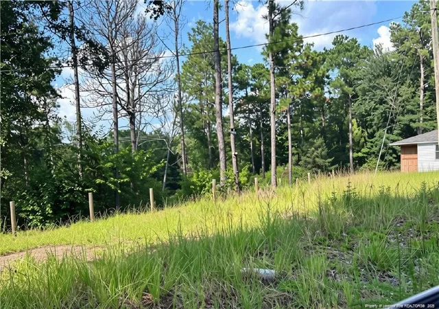 Photo 2 of Land for sale at 813 Wiregrass Rd, Hamlet, NC 28345 | MLS# 768853 | Listing updated on 2026-09-04