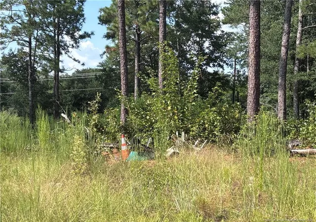 Photo 3 of Land for sale at 813 Wiregrass Rd, Hamlet, NC 28345 | MLS# 768853 | Listing updated on 2026-09-04