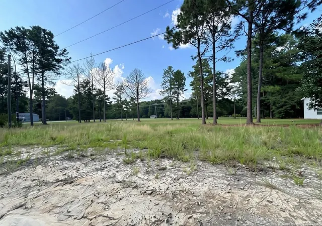 Photo 4 of Land for sale at 813 Wiregrass Rd, Hamlet, NC 28345 | MLS# 768853 | Listing updated on 2026-09-04