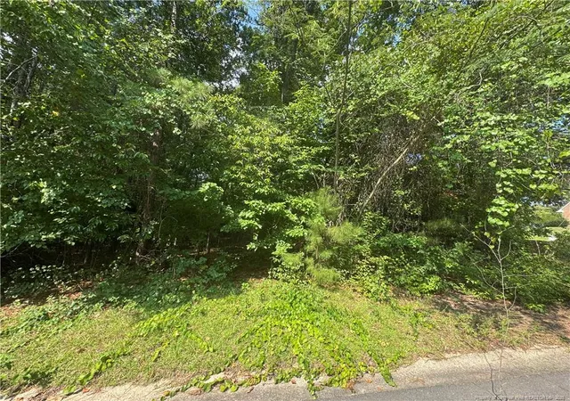 Photo 1 of Land for sale at 0 Stonington Dr, Fayetteville, NC 28311 | MLS# 768900 | Listing updated on 2026-09-04