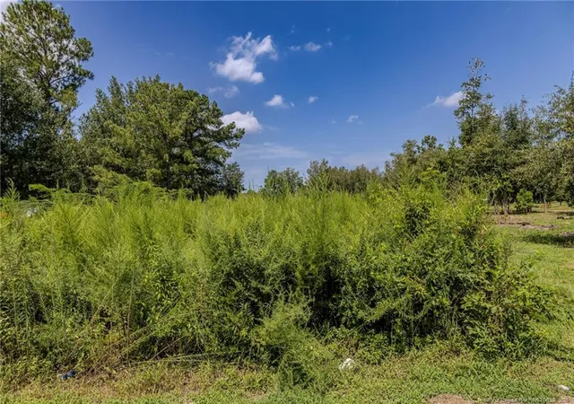Photo 1 of Sale Pending at 546 Pearsall Rd, Red Springs, NC 28377 | MLS# 768918 | Listing updated on 2026-09-17