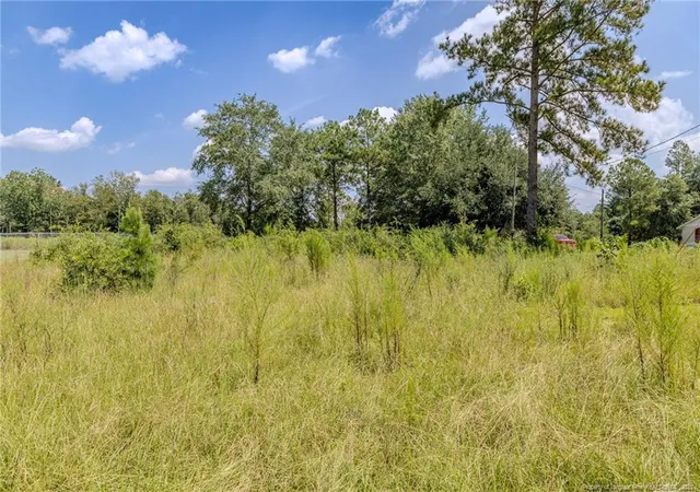 Photo 2 of Sale Pending at 546 Pearsall Rd, Red Springs, NC 28377 | MLS# 768918 | Listing updated on 2026-09-17