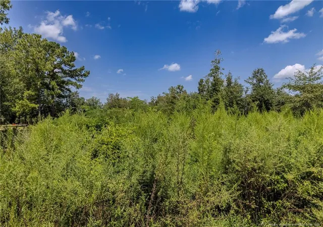 Photo 3 of Sale Pending at 546 Pearsall Rd, Red Springs, NC 28377 | MLS# 768918 | Listing updated on 2026-09-17