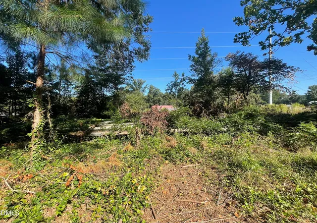 Photo 3 of Land for sale at 8411 Nc 27 W, Lillington, NC 27546 | MLS# 10190895 | Listing updated on 2026-09-14