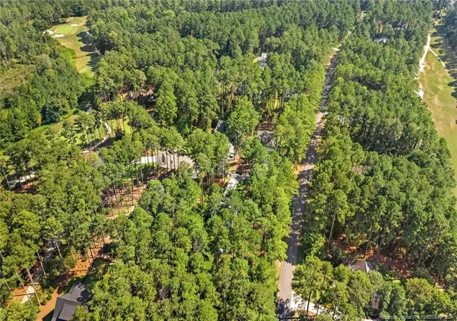 Photo 44 of Single family home for sale at 16621 Titmouse Ct, Wagram, NC 28396 | MLS# 768855 | Listing updated on 2026-09-16