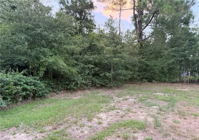 Photo 3 of Manufactured home for sale at 19420 Knapp St, Laurinburg, NC 28352 | MLS# 768894 | Listing updated on 2026-09-30