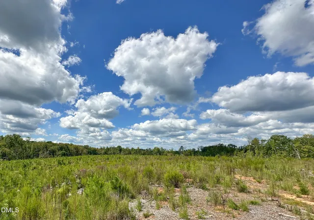 Photo 3 of Sale Pending at 0 Nc 43, Macon, NC 27551 | MLS# 10191631 | Listing updated on 2026-10-07