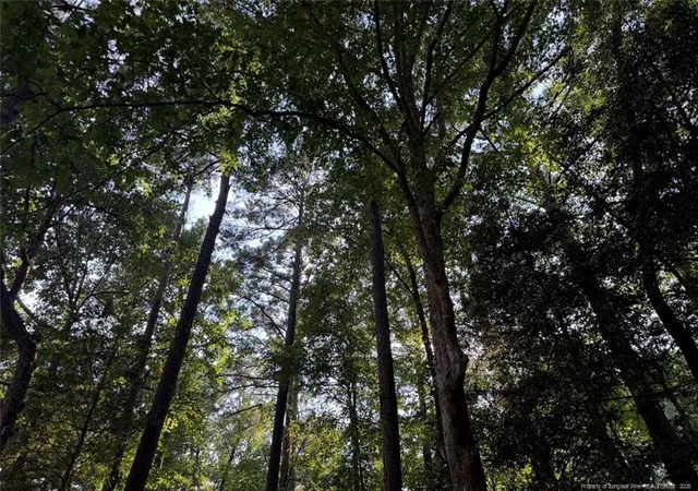 Land for sale at 0 Lot 1761 Irish Blvd, Sanford, NC 27330 | MLS# 768990