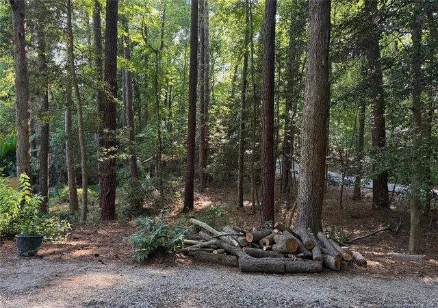 Photo 2 of Land for sale at 0 Lot 1761 Irish Blvd, Sanford, NC 27330 | MLS# 768990 | Listing updated on 2026-09-07