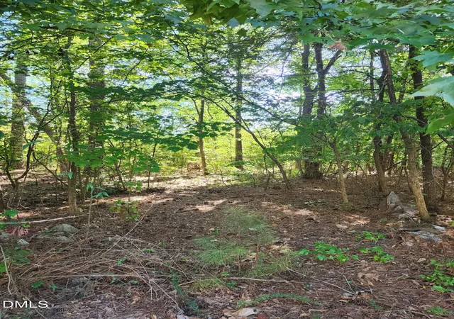 Photo 2 of Land for sale at 0 Ten Rd, Apex, NC 27539 | MLS# 10192121 | Listing updated on 2026-09-14