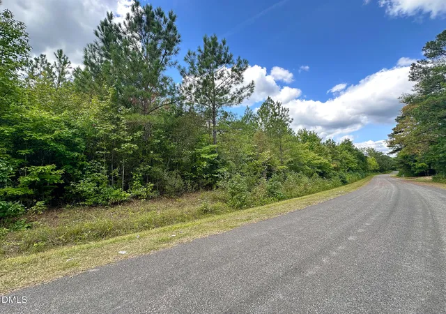 Photo 4 of Land for sale at 00 Nc 43, Macon, NC 27551 | MLS# 10191640 | Listing updated on 2026-09-10