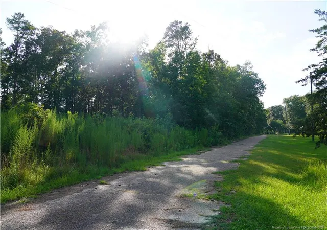 Land for sale at Lot 6 Lakeview Dr, Red Springs, NC 28377 | MLS# 769118