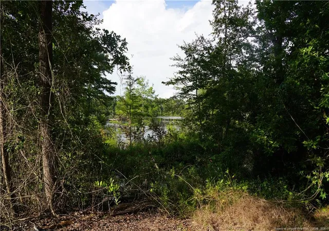 Photo 3 of Land for sale at Lot 6 Lakeview Dr, Red Springs, NC 28377 | MLS# 769118 | Listing updated on 2026-09-10