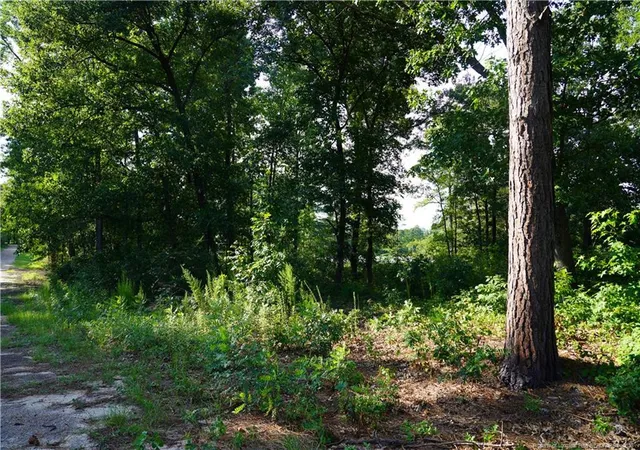 Photo 3 of Land for sale at Lot 6 Lakeview Dr, Red Springs, NC 28377 | MLS# 769118 | Listing updated on 2026-09-10