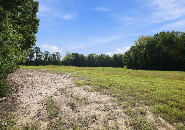 Photo 3 of Land for sale at 00 Julie Mcknight Rd, Kittrell, NC 27544 | MLS# 10193712 | Listing updated on 2026-10-08